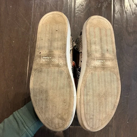 Matisse Harlan snake sneaker - Picture 5 of 5